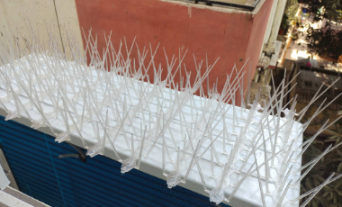 bird spikes in hyderabad