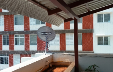 Pigeon Safety Net IN hyderabad 